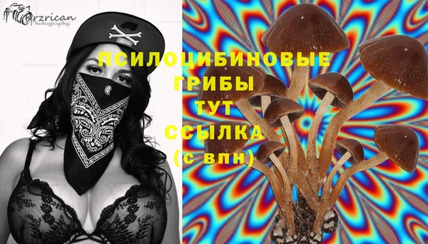 дмт Бронницы