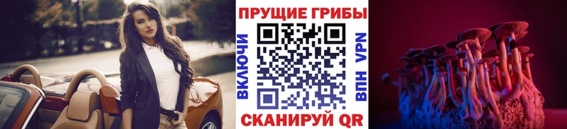 omg ссылка  Нарьян-Мар  Галлюциногенные грибы Magic Shrooms 
